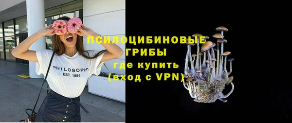 бошки Белокуриха