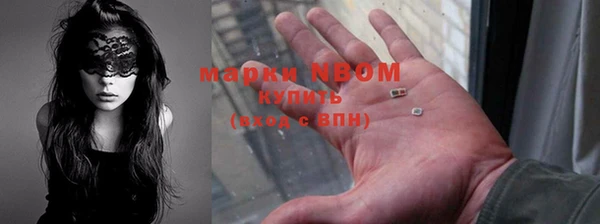 бошки Белокуриха