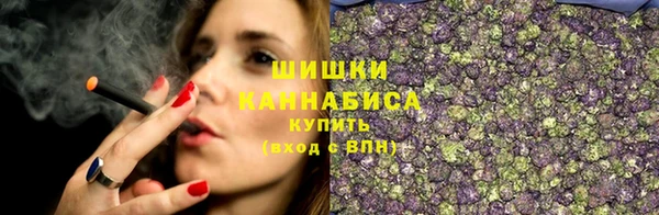 гашик Белоозёрский